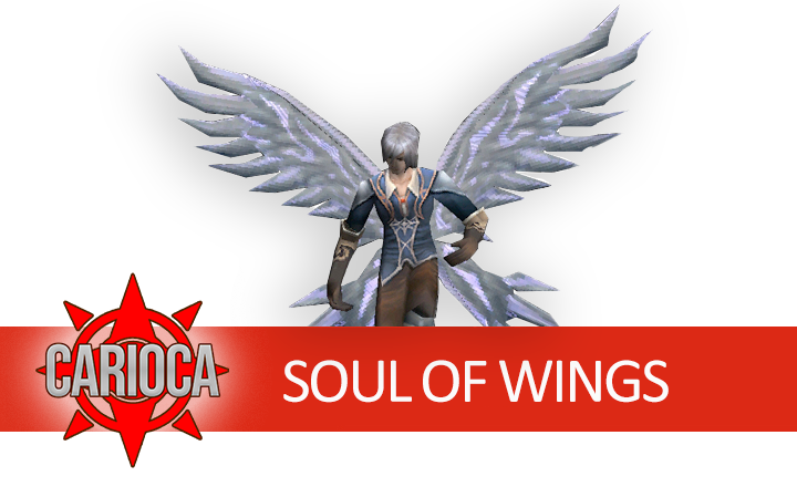 WINGS OF SOUL FULL OPTION + LUCK +11