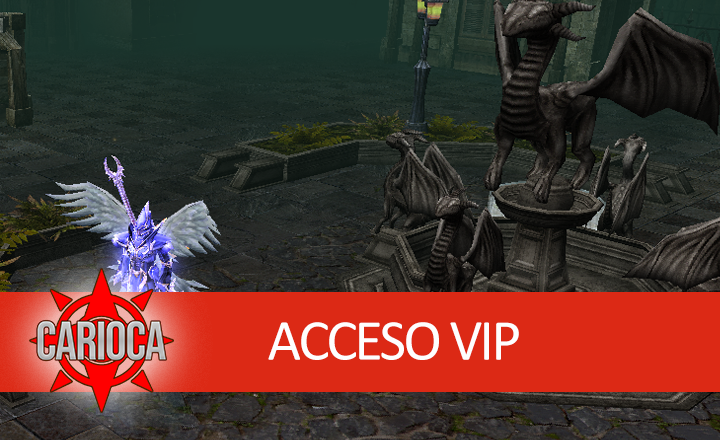 ACCESO VIP